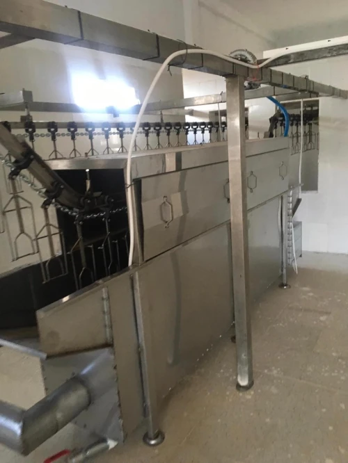 Abattoir chaine abattage poule