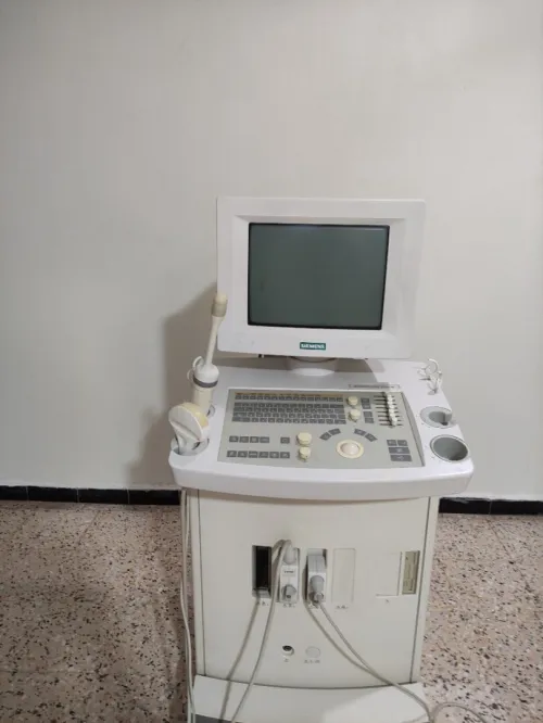 المسيلة