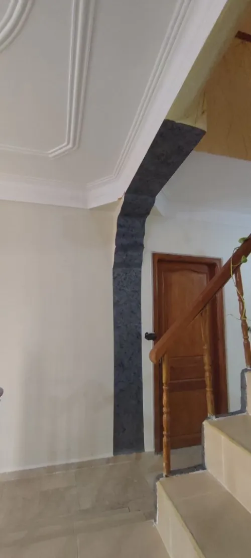 peinture  professionel et artistic