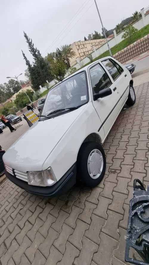 Peugeot 205 1992 Gr