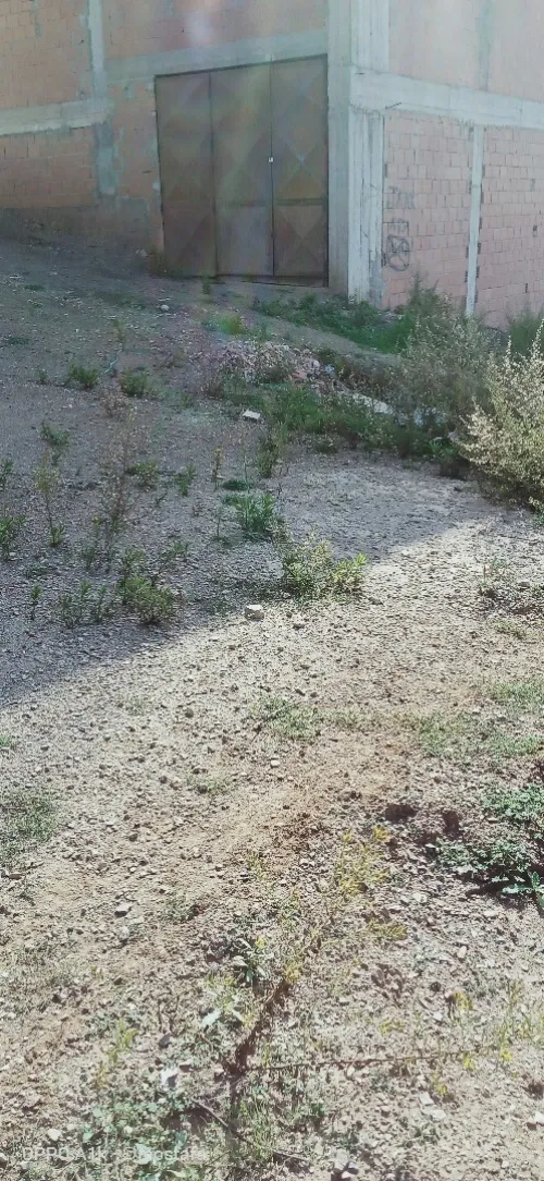 Vente Terrain Alger Bouzareah