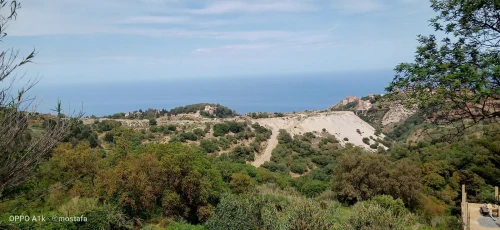 Vente Terrain Alger Rais hamidou