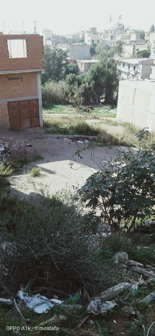 Vente Terrain Alger Bouzareah