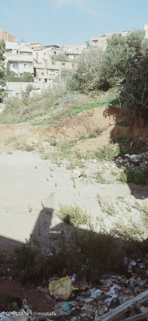 Vente Terrain Alger Bouzareah