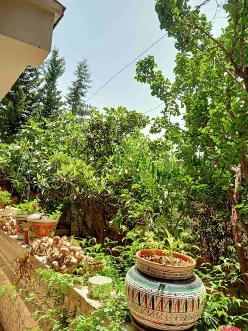 Vente Villa Alger Hraoua