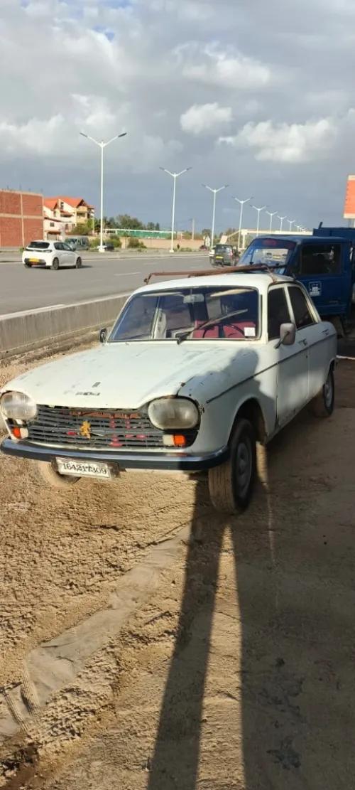 Peugeot 204 1973 204