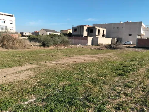 Vente Terrain Alger Ouled chebel