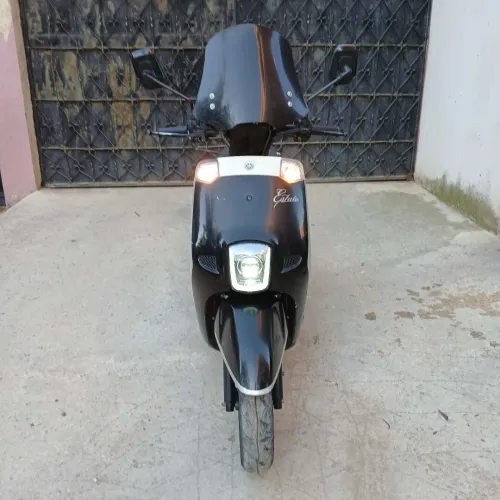 Vms Estate 