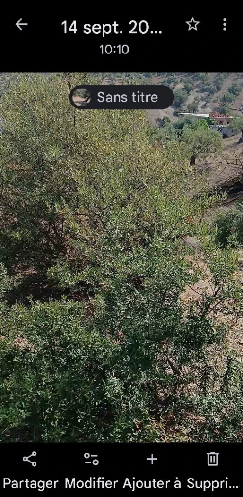 Vente Terrain Béjaïa Ait rzine