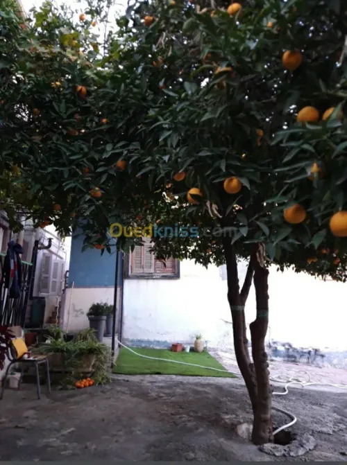 Vente Villa Constantine Constantine