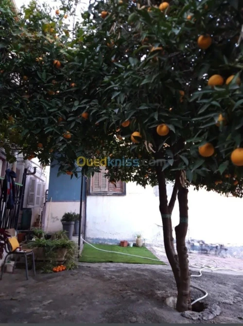 Vente Villa Constantine Constantine