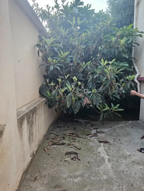 Vente Villa Béjaïa Bejaia
