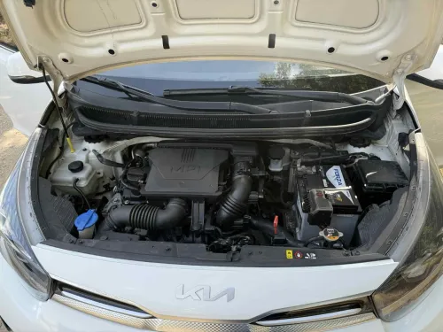 Kia Picanto 2021 Brazilia