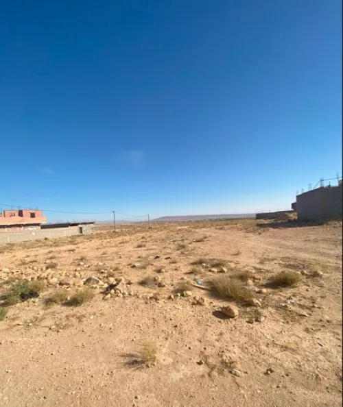 Vente Terrain Sétif Boutaleb
