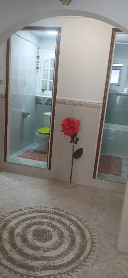 Location Appartement F3 Alger Dely brahim