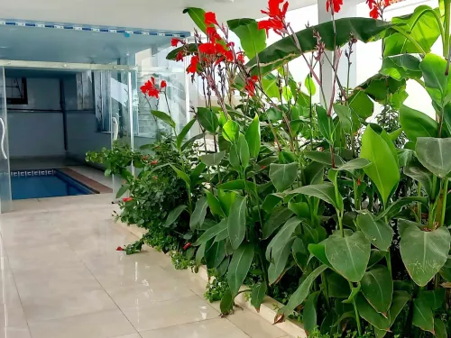 Location Appartement F3 Oran Ain el turck