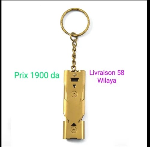 Sifflet pro en inox 