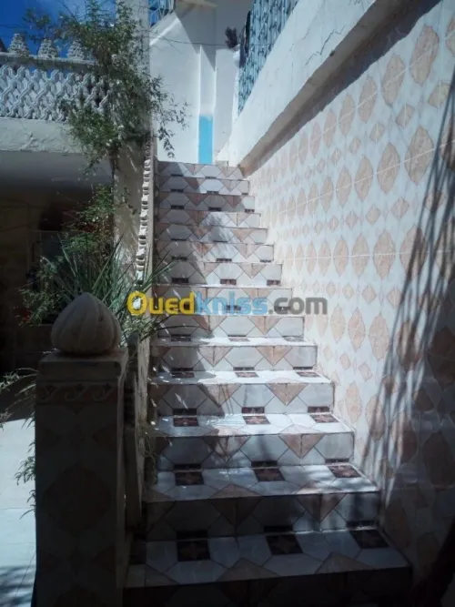 Vente Villa Aïn Defla Khemis miliana