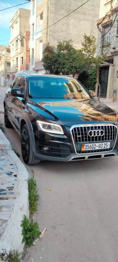 Audi Q5 2013 Off Road