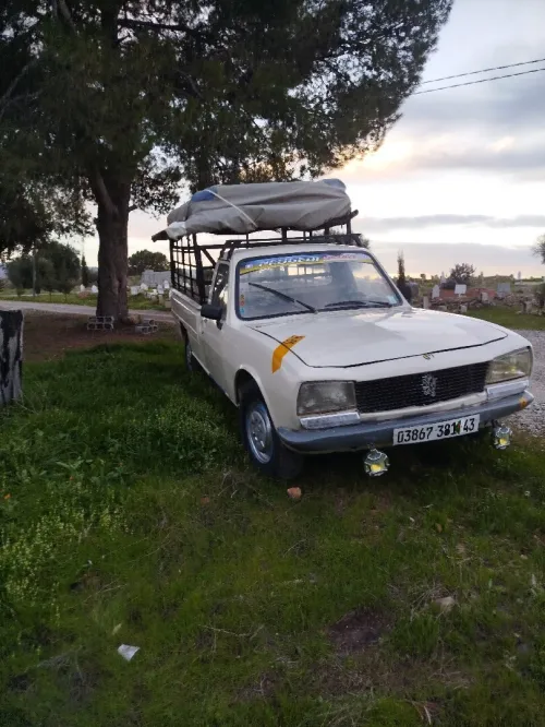 Peugeot 504 1983 504
