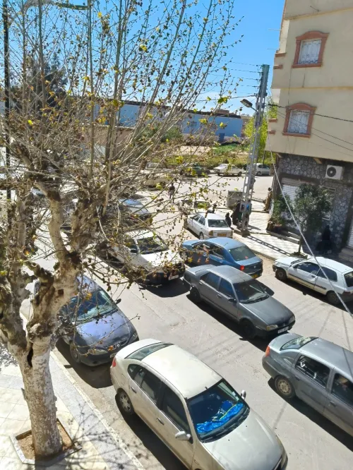 Location Appartement Tiaret Sougueur