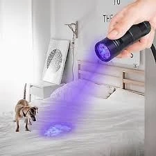 Lampe de poche UV rechargeable 3 en 1