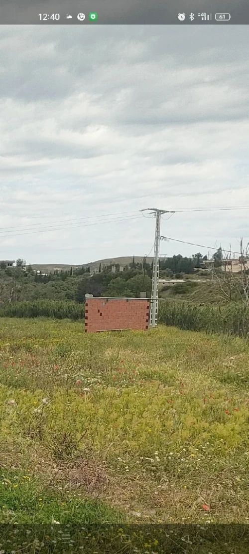 Vente Terrain Agricole Bordj Bou Arreridj Bordj bou arreridj 4