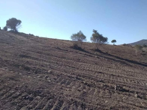 Vente Terrain Boumerdes Bouzegza keddara