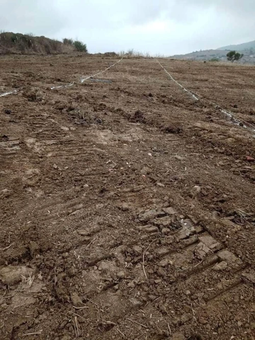 Vente Terrain Boumerdes Bouzegza keddara