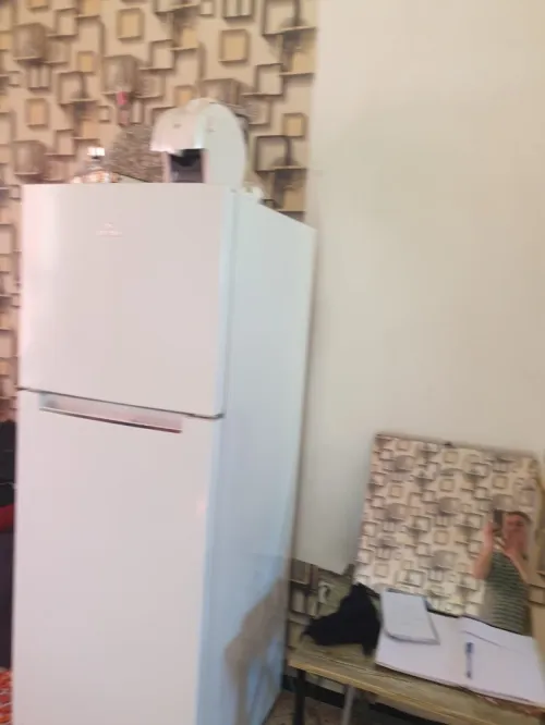 Vente Appartement Studio Alger Sidi mhamed