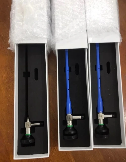 Endoscope 