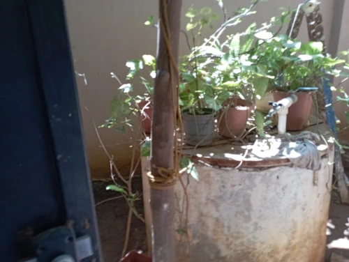 Vente Villa Alger Cheraga