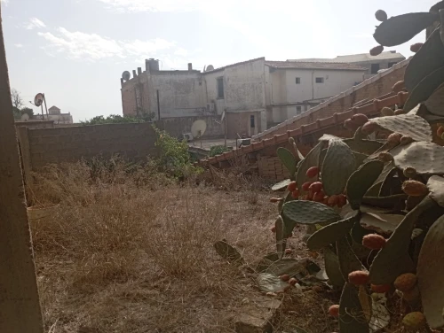 Vente Terrain Alger Bouzareah