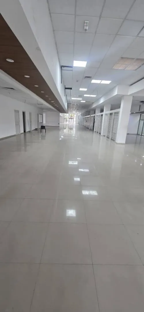 Location Hangar Alger Oued smar