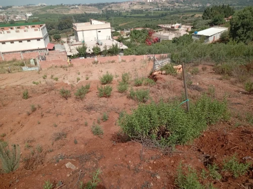 Vente Terrain Boumerdès Boudouaou