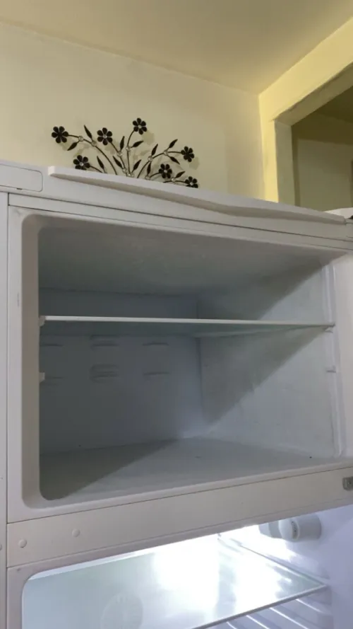 Frigidaire et frigo