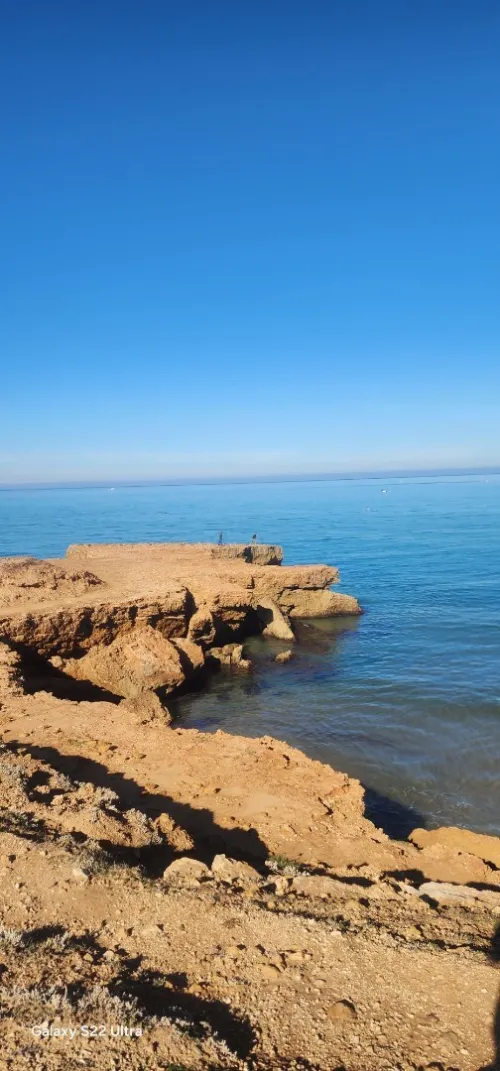 Vente Terrain Mostaganem Achaacha