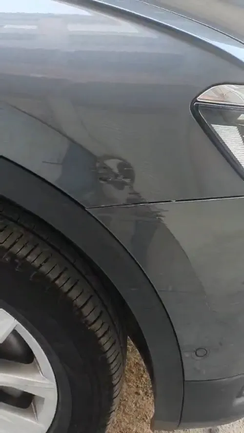 Volkswagen Tiguan 2019 Drive 