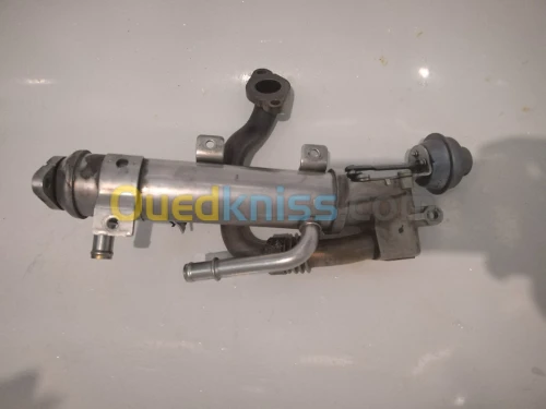 EGR radiateur 