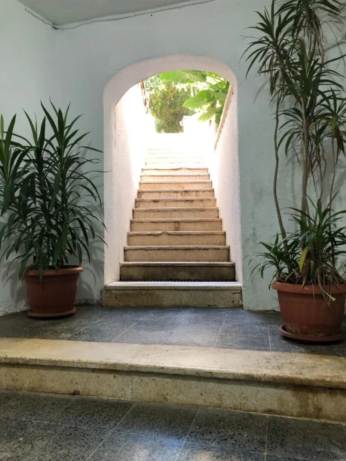 Vente Villa Alger Draria