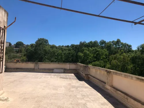 Location Appartement F6 Alger Dely brahim