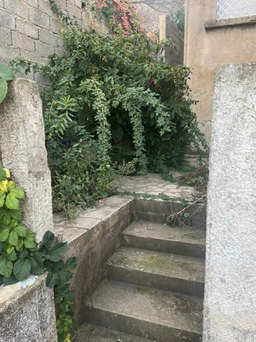 Vente Villa Alger Rais hamidou