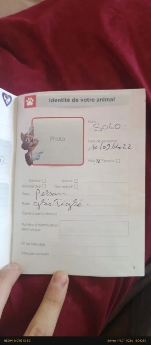 Sofiane