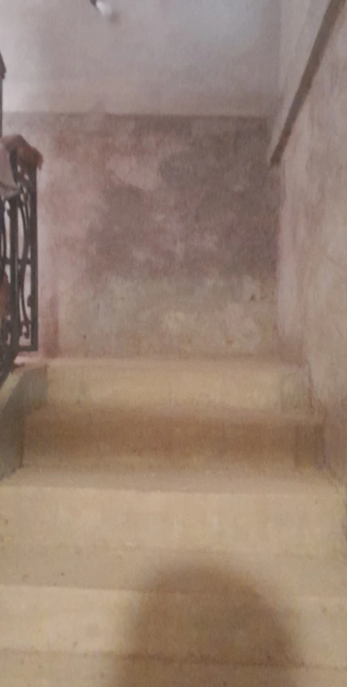 Vente Villa Tlemcen Tlemcen