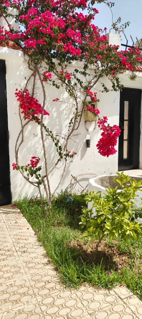 Location vacances Villa El Tarf El kala