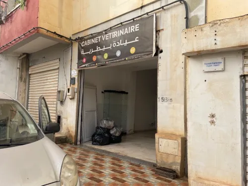 Vente Local Alger Saoula