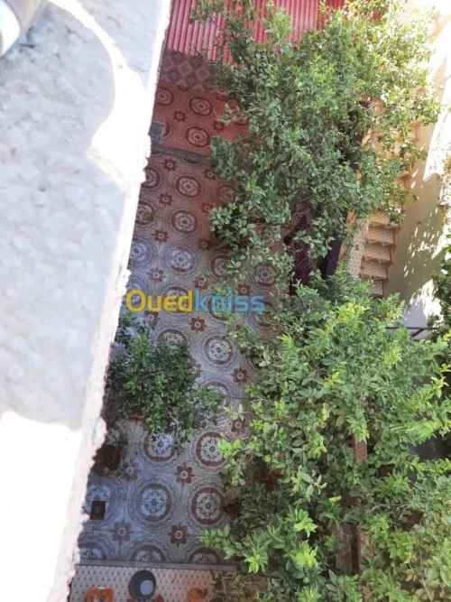 Vente Villa Aïn Témouchent Chaabet el ham