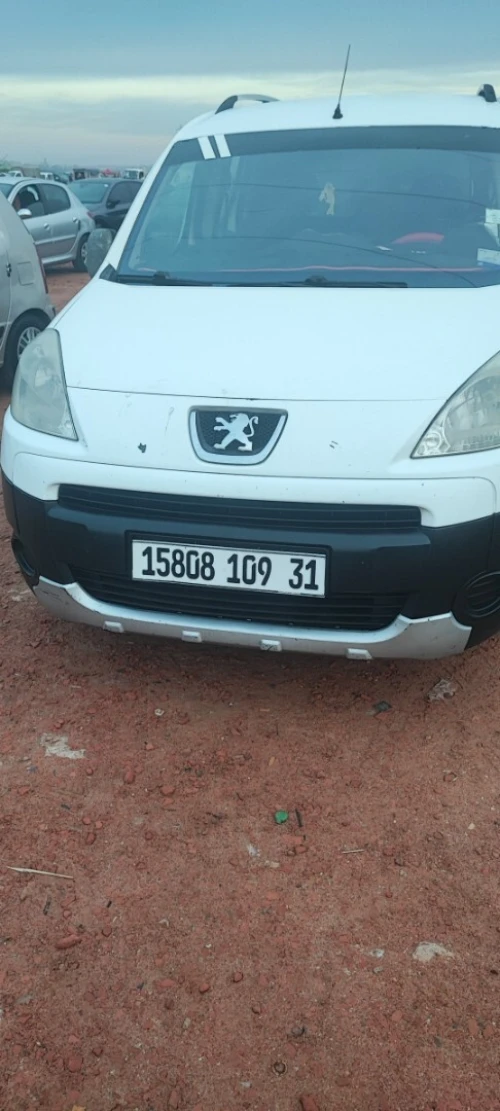 Peugeot Partner 2009 Tepee