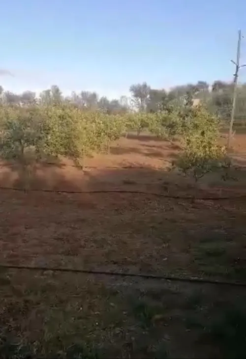 Vente Terrain Agricole Mostaganem Ouled el kheir