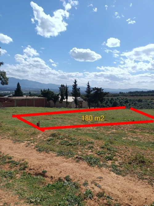 Vente Terrain Tipaza Bou ismail
